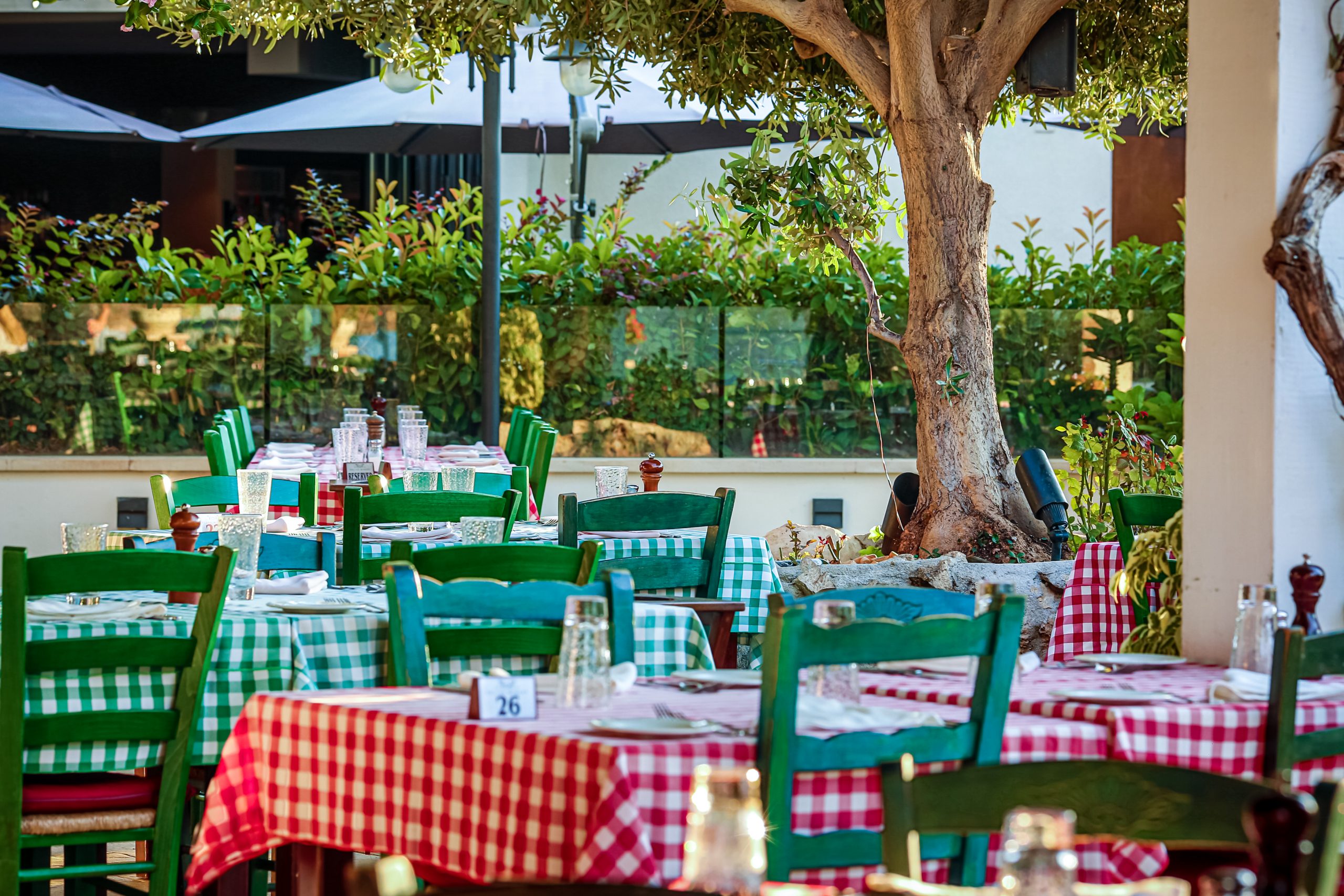 Summertime cafe with outdoor seating and greenery