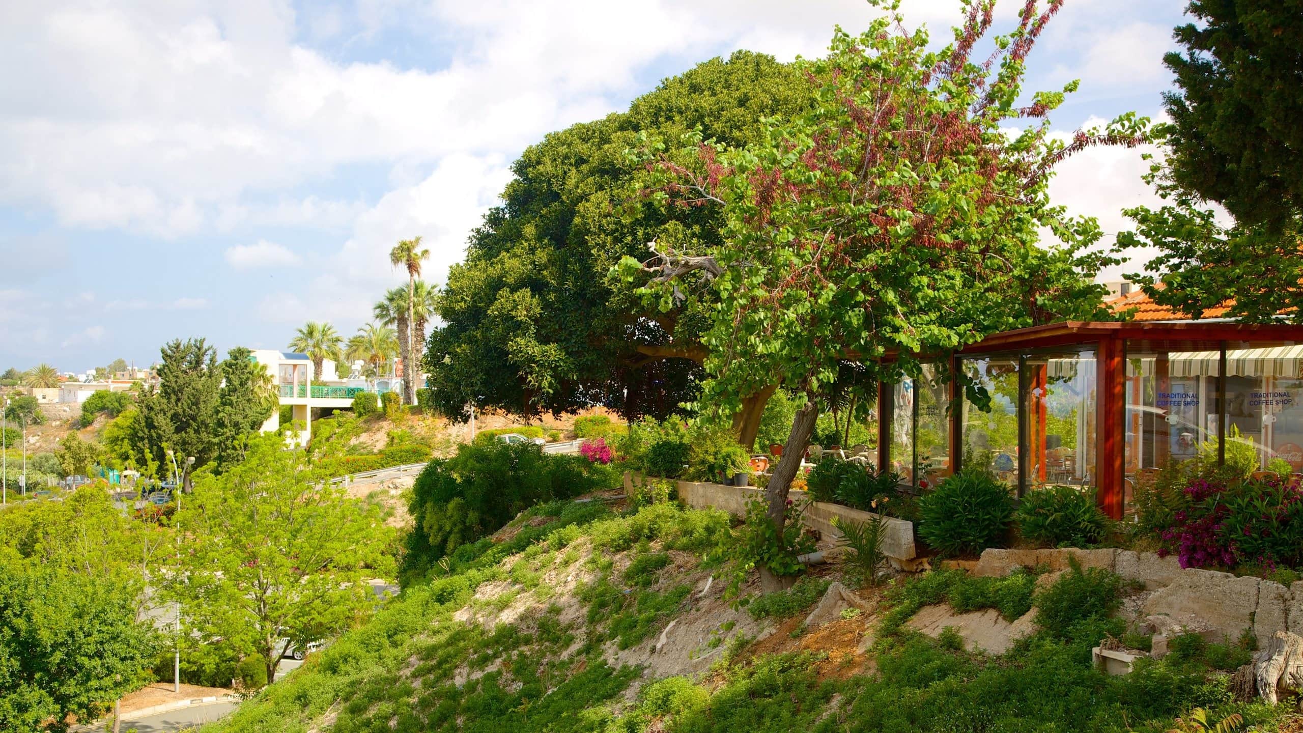 Old Town of Limassol which includes a park